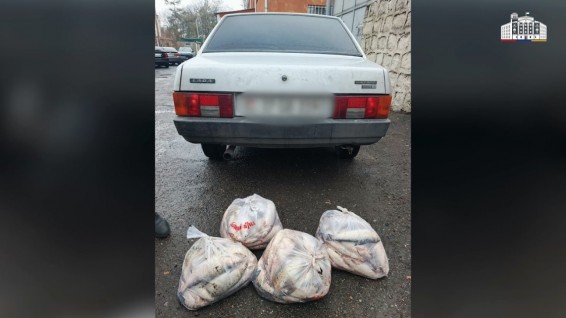 Ջրային պարեկները հայտնաբերել են սիգ տեսակի 110 ձուկ