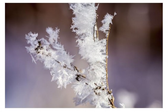 До 13 градусов мороза ожидается в Армении