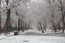 Քաղաքապետարանը ձյունը մաքրելու փոխարեն «ավետում է», որ տրանսպորտի որոշ երթուղիներում ուշացումներ կլինեն