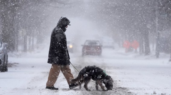 Մի շարք տարածաշրջաններում թույլ ձյուն է