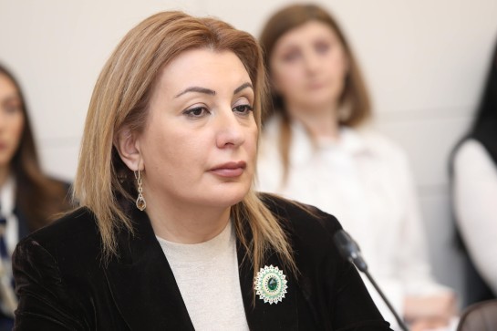 Հայաստանում ՄԻՊ-ին դիմելը հաճախ նշանակում է քո խնդիրը ուղարկել նույն մարմնին, որի դեմ կա բողոք. Անուշ Պողոսյան