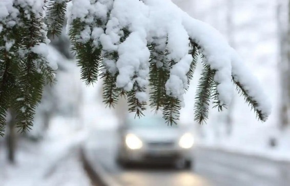 Ճամբարակի տարածաշրջանում ձյուն է տեղում