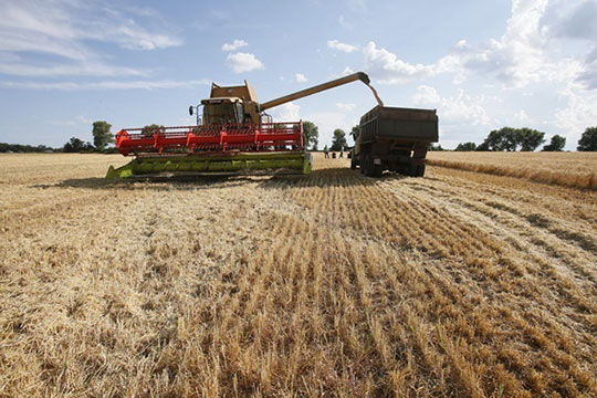 Աշխարհում 3 ամիս է՝ անընդմեջ թանկանում են մթերքները