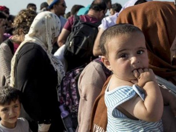 2016-ին 55 հազար միգրանտ կամավոր լքել է Գերմանիան