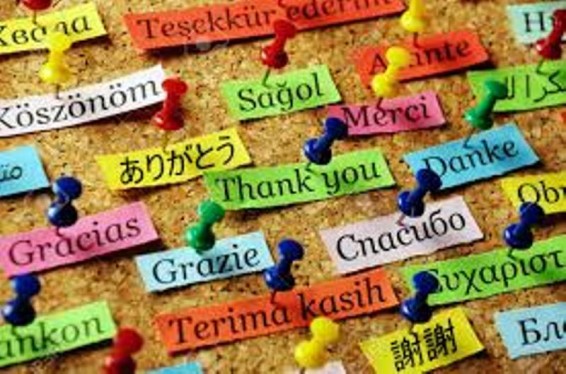 Հունվարի 11-ը շնորհակալության միջազգային օրն է