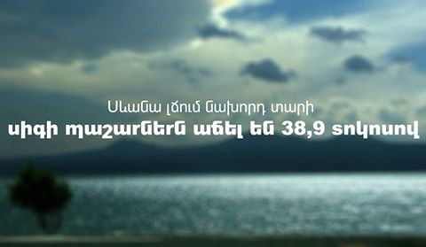 Սիգի պաշարներն աճել են 38,9%-ով