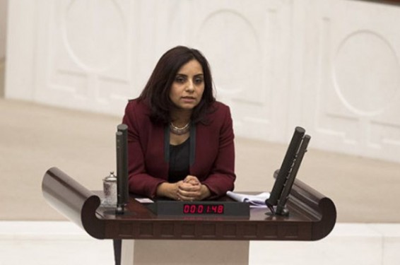 Այս թեմաները պետք է քննարկվեն հենց Թուրքիայի, այլ ոչ օտար երկրների խորհրդարաններում. Սելինա Դողանը Կարո Փայլանի դեպքի մասին