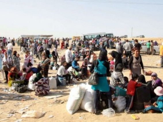 Թուրքիայում սկսել են քաղաքացիություն տալ սիրիացի փախստականներին