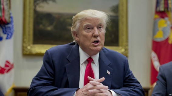 Трамп обвинил Голливуд в «зацикливании на политике»