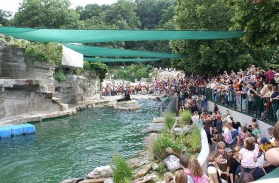 Վիեննայի կենդանաբանական այգին մասամբ փակվել է թռչնագրիպի վիրուսի պատճառով