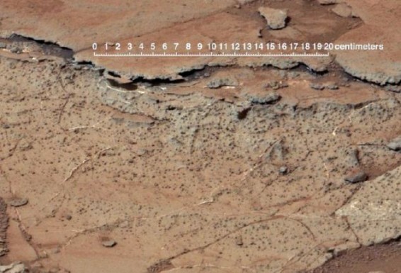 Մարսի վրա ցունամիի հետքեր են հայտնաբերել