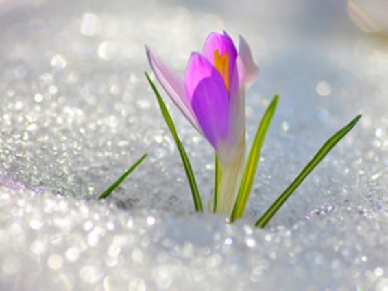 Եղանակը Հայաստանում