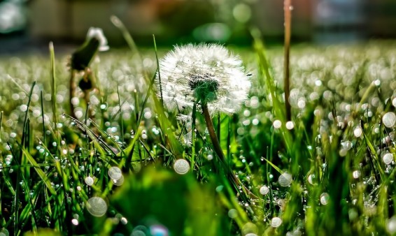 Եղանակը Հայաստանում