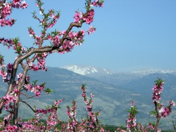 Եղանակը Հայաստանում