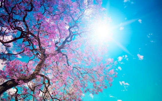 Եղանակը Հայաստանում