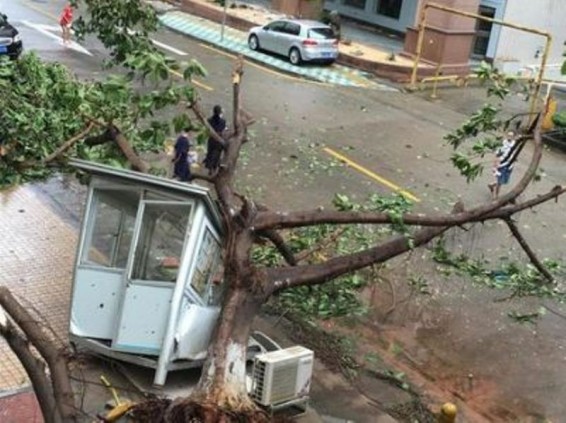 Չինաստանում ուժեղ քամու հետեւանքով երկաթուղային հաղորդակցությունը մասամբ խափանվել է