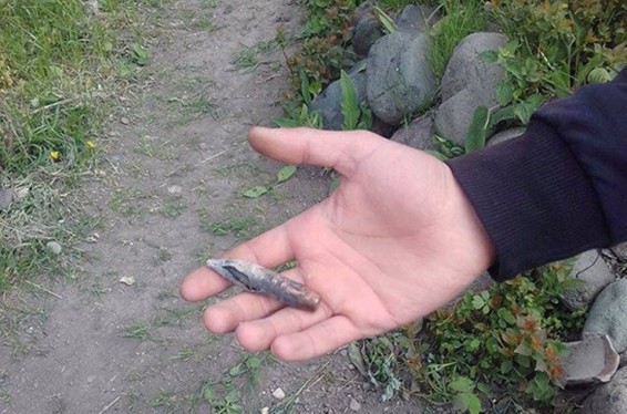 Տավուշում սահմանային սրացումը չի ընդհատել գարնանացան աշխատանքները. «Վտանգավոր է, բայց աշխատում ենք, ինչպես միշտ»