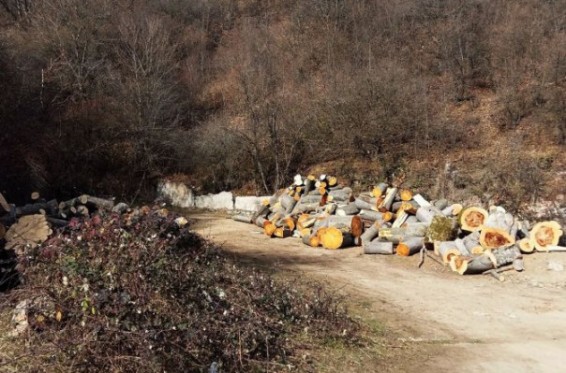 Ապօրինի հատված ծառերը և փայտանյութն անտառից ապօրինաբար դուրս բերելու դիմաց կաշառք ստանալու համար մեղադրանք է առաջադրվել 2 անձի