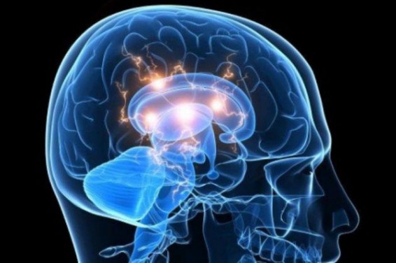 Ամերիկյան ընկերությունը պնդում է, որ կարող է վերակենդանացնել մահացած մարդու ուղեղը