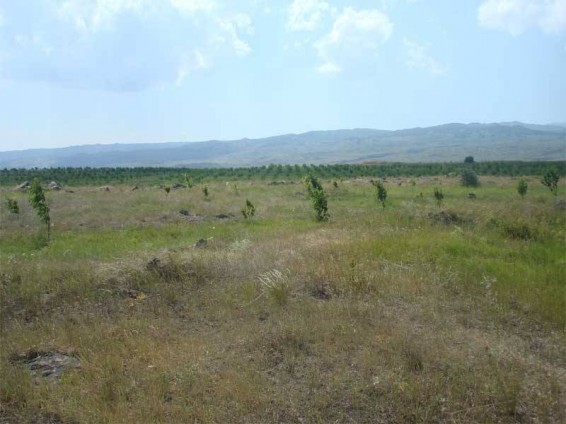 Այսօրվանից ՌԴ-ում ուժի մեջ է մտել հեռավոր Արևելքում հողատարածքների անվճար տրամադրման ծրագիրը