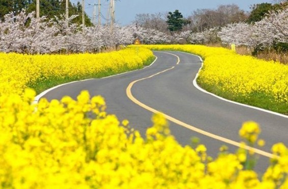 Առաջիկա 5 օրվա եղանակի կանխատեսում