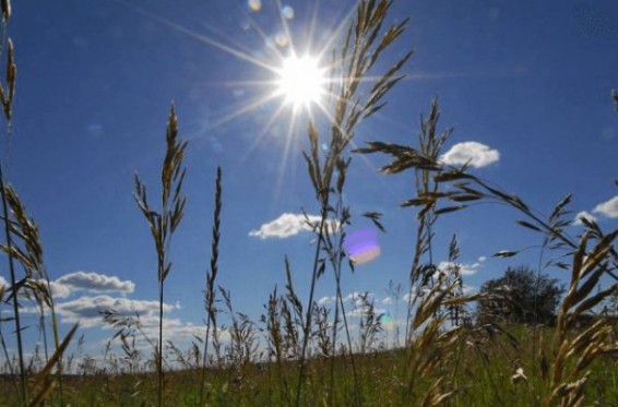 Հունիսի 25-29-ը սպասվում է առանց տեղումների եղանակ