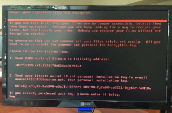 Ուկրաինան ենթարկվել է մասշտաբային կիբերհարձակման. հաքերային հարձակման մասին հայտարարել են նաև այլ երկրներում