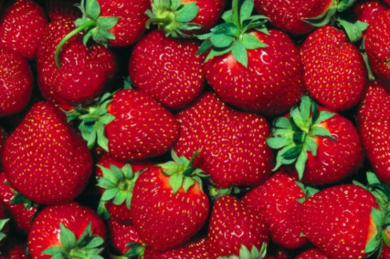 Ռուսաստանը հետ է ուղարկել Թուրքիայից ներկրված 20 տոննա վարակված ելակը