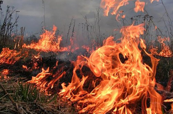 Անտառներում հրդեհային անվտանգության կանոնների խախտման համար նախատեսված է վարչական և քրեական պատասխանատվություն. ԱԻՆ