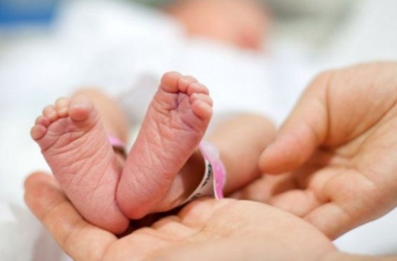 Կանադայում ծնողին թույլ են տվել չնշել երեխայի սեռը բժշկական քարտում