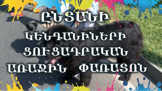 Ընտանի կենդանիների ցուցադրական առաջին փառատոն Երևանում