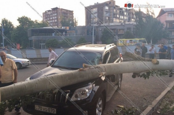 Երևանում բարդին ընկել է Toyota Prado-ի վրա. shamshyan.com