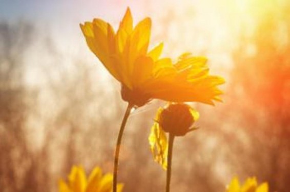 Եղանակը Հայաստանում