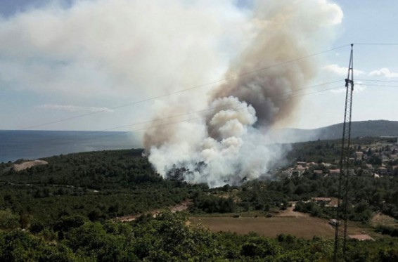 Չեռնոգորիան միջազգային օգնություն է խնդրել անտառային հրդեհները մարելու համար