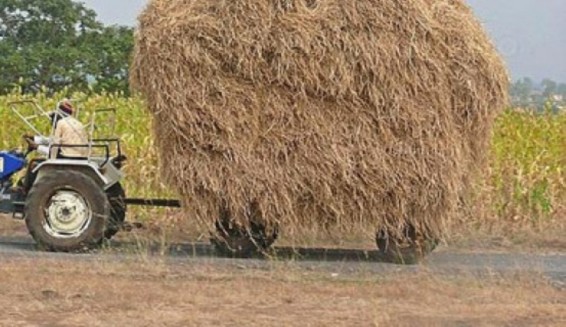 Այրվել է անասնակեր