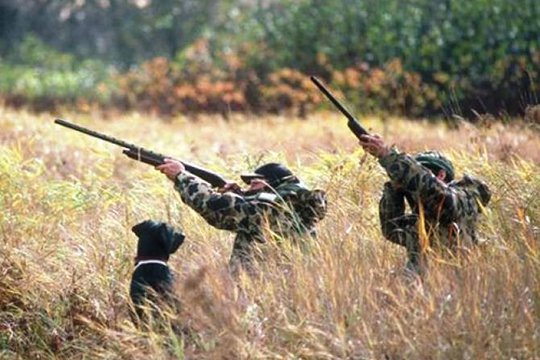 Ստորագրվել է սիրողական որսի համար թույլատրելի չափաքանակները և որսի ժամկետները սահմանելու մասին հրամանը