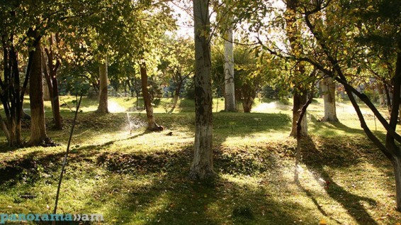 ԱԻՆ. Օդի միջին օրական ջերմաստիճանն այս օրերին նորմայից բարձր կլինի 4-5 աստիճանով