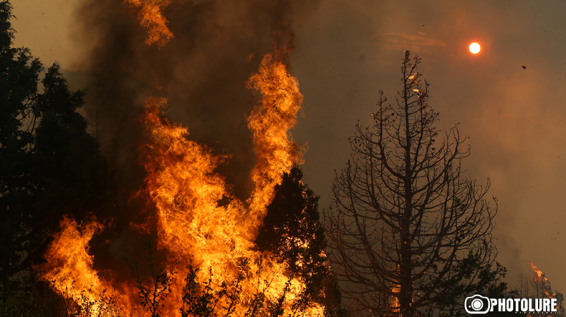 Հարուցվել է քրեական գործ՝ «Խոսրովի անտառ» պետական արգելոցի տարածքում բռնկված հրդեհի առթիվ