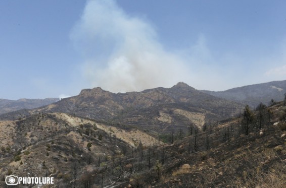 Խոսրովի անտառի վայրի կենդանիները և թռչունները տեղափոխվել են հարակից շրջաններ. Բննախը կոչ է անում զերծ մնալ այդ վայրերում որսից