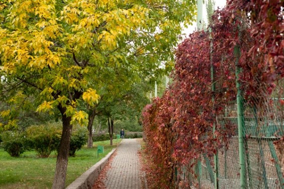 Ինչպիսի եղանակ է սպասվում Հայաստանում առաջիկա օրերին