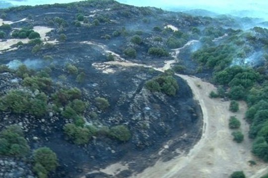 Բյուրականի մերձակա տարածքի անտառում բռնկված հրդեհը գետնատարած է